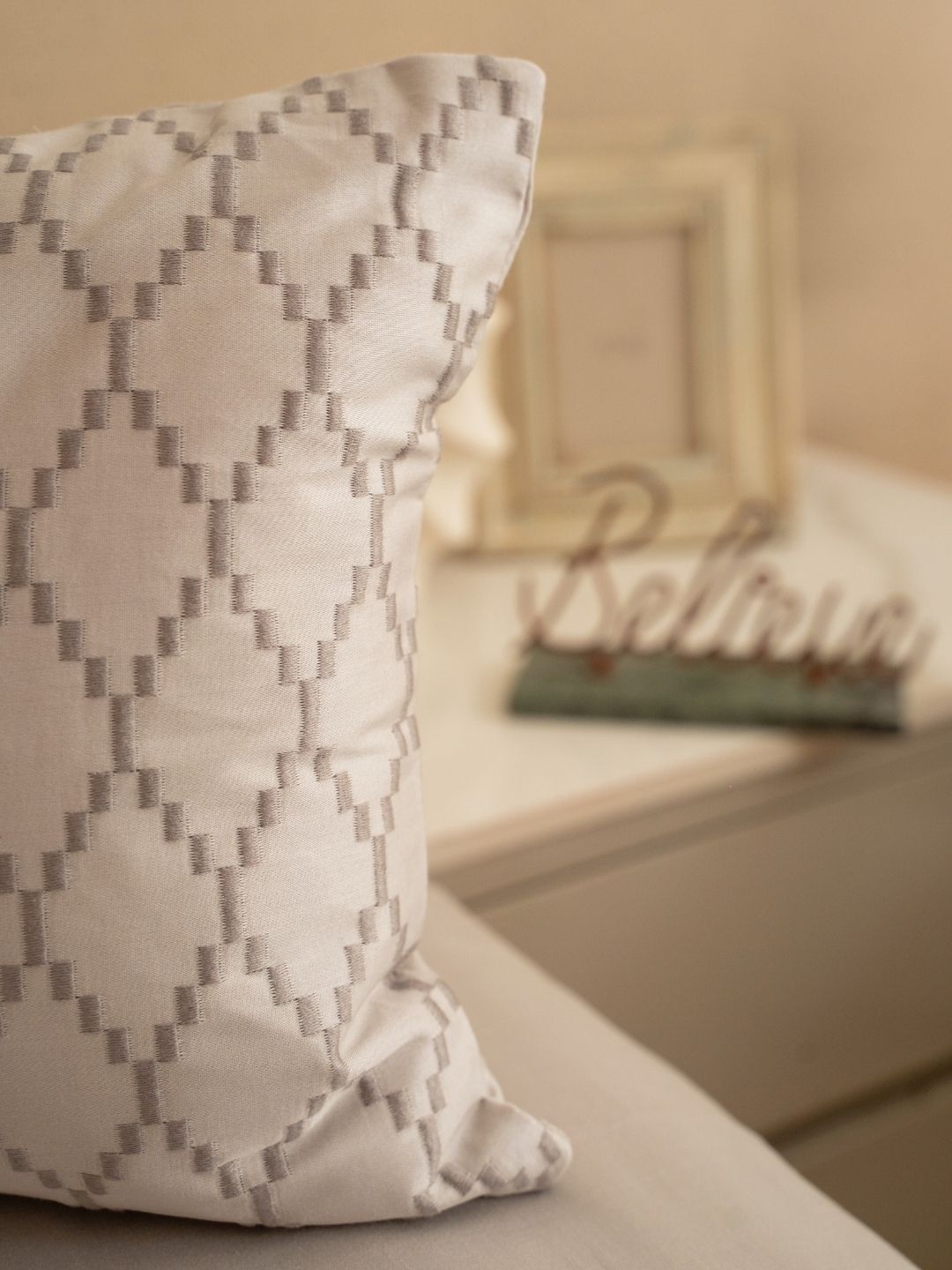 Solasta Pearl Grey Treasure Bedsheet Set