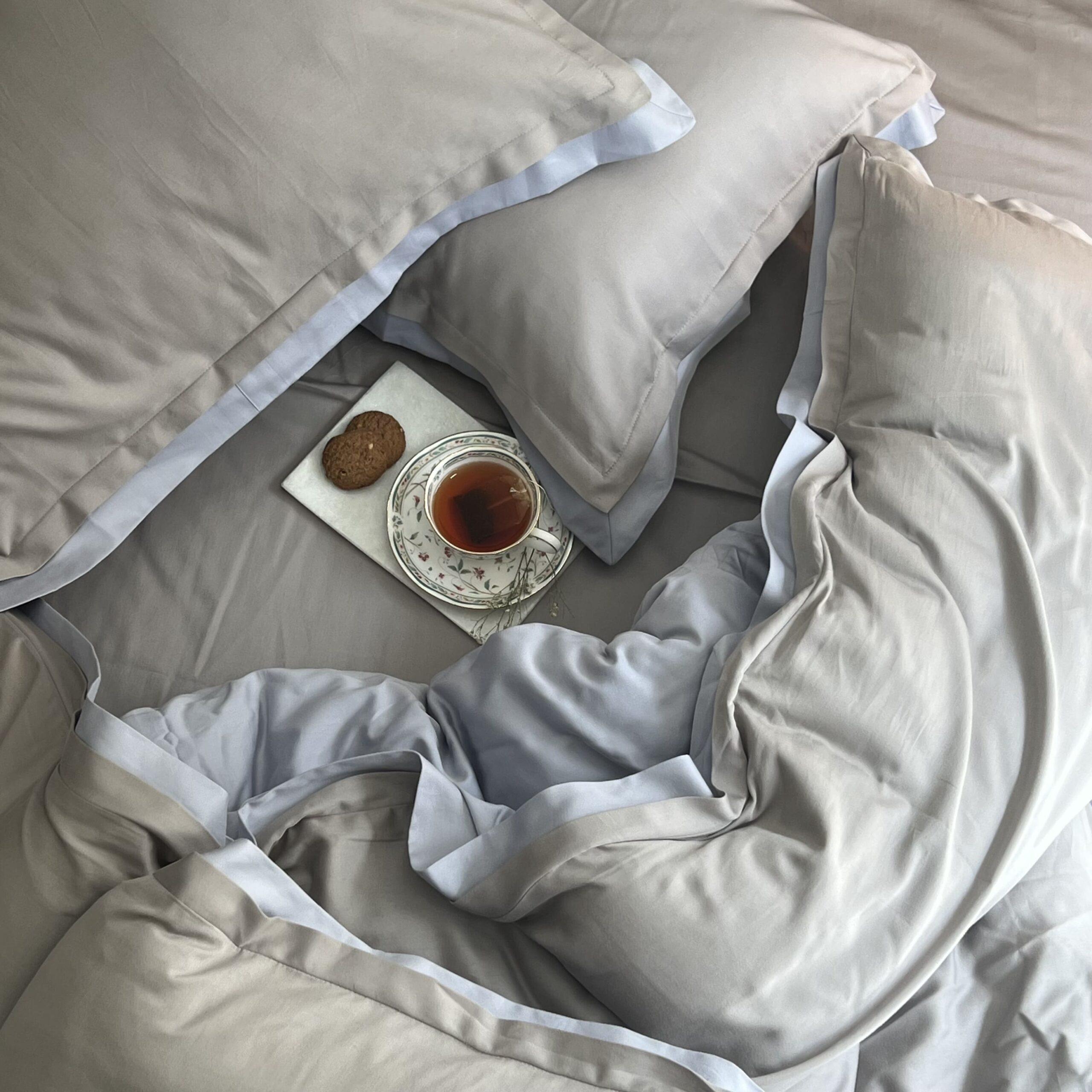 Silver and Smoke Blue Duplex Duvet Cover Set