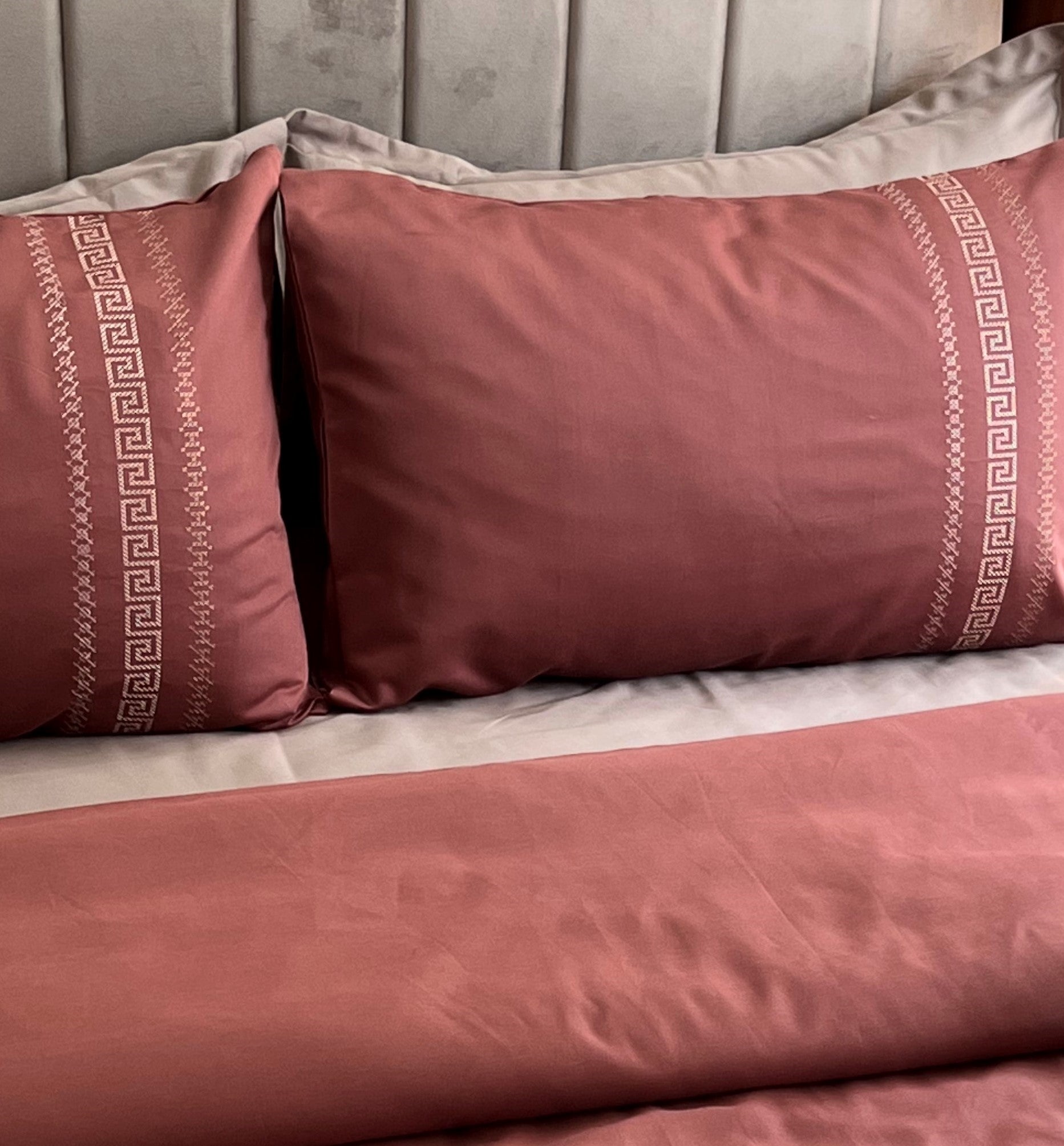 Lucas Blush 1000TC Cotton Rich Syona Bedsheet Set (5 pc Set)