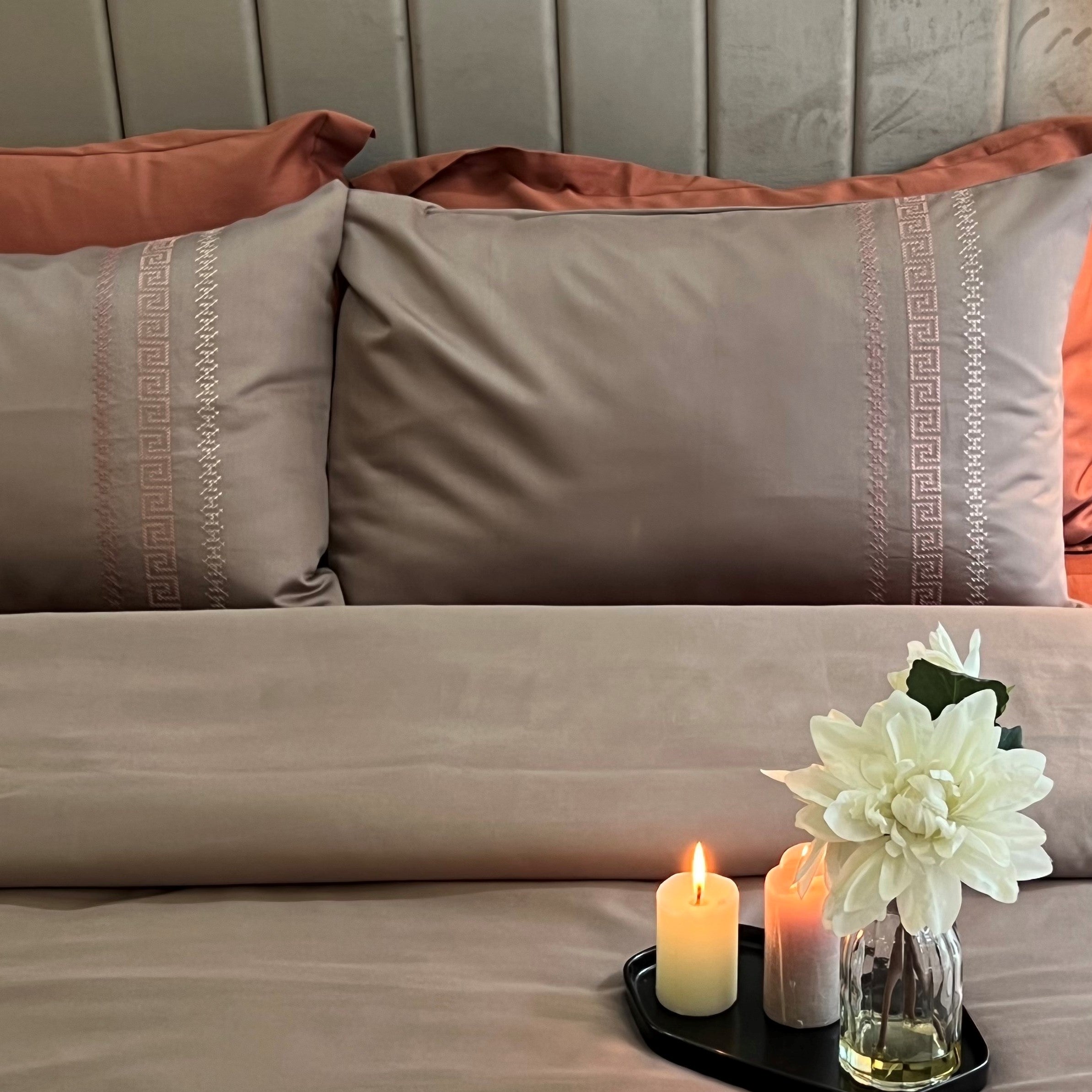 Lucas Taupe Embroidered Cotton Rich Pillow Covers (Set of 02)