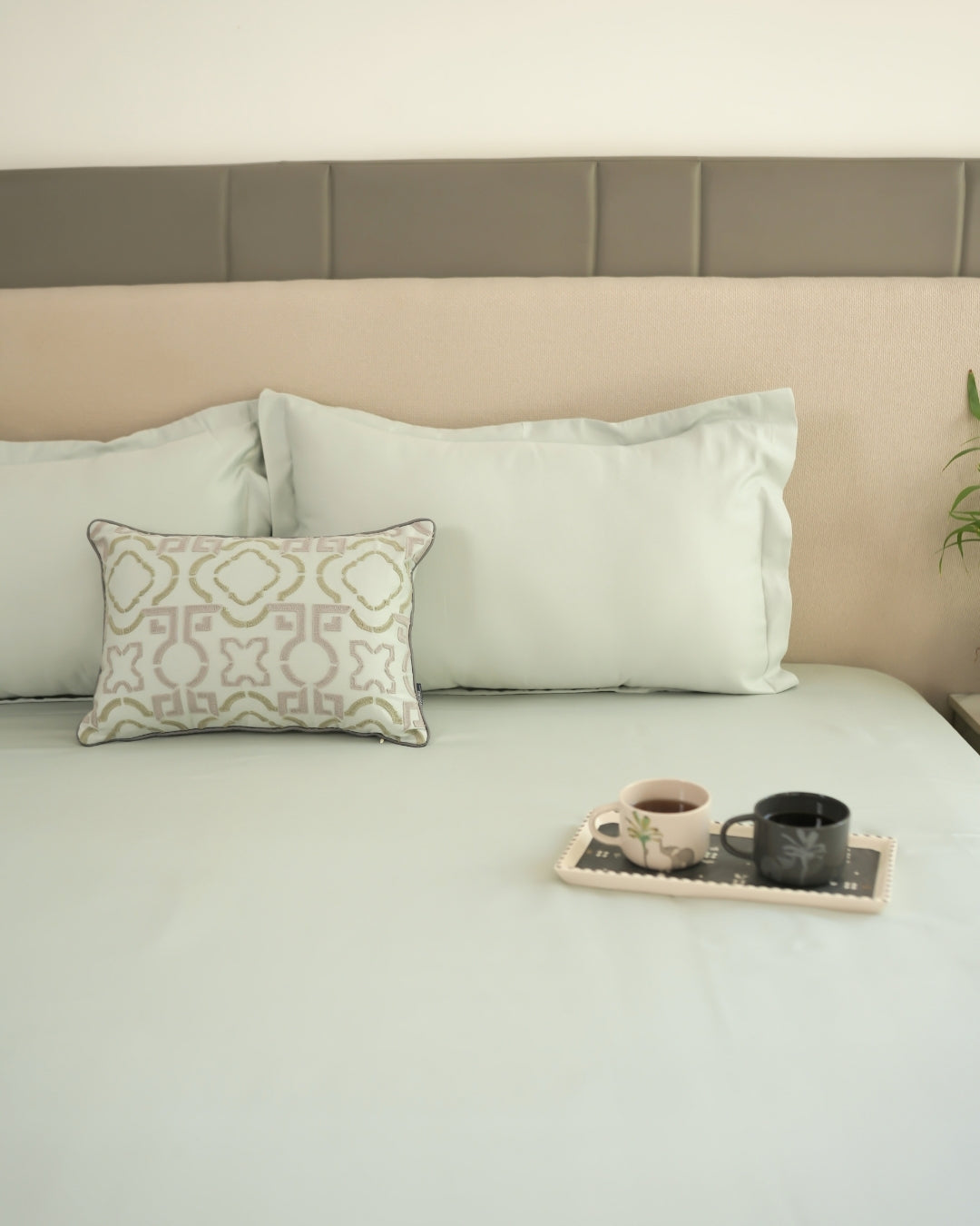 Zyra Sage Green 1000TC Cotton Rich Lorenza Bedsheet Set in Gift Box (5 PC Set)