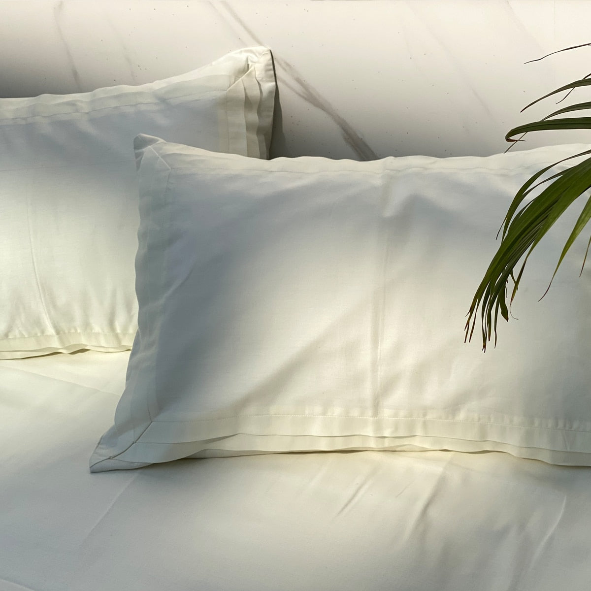 bedsheet