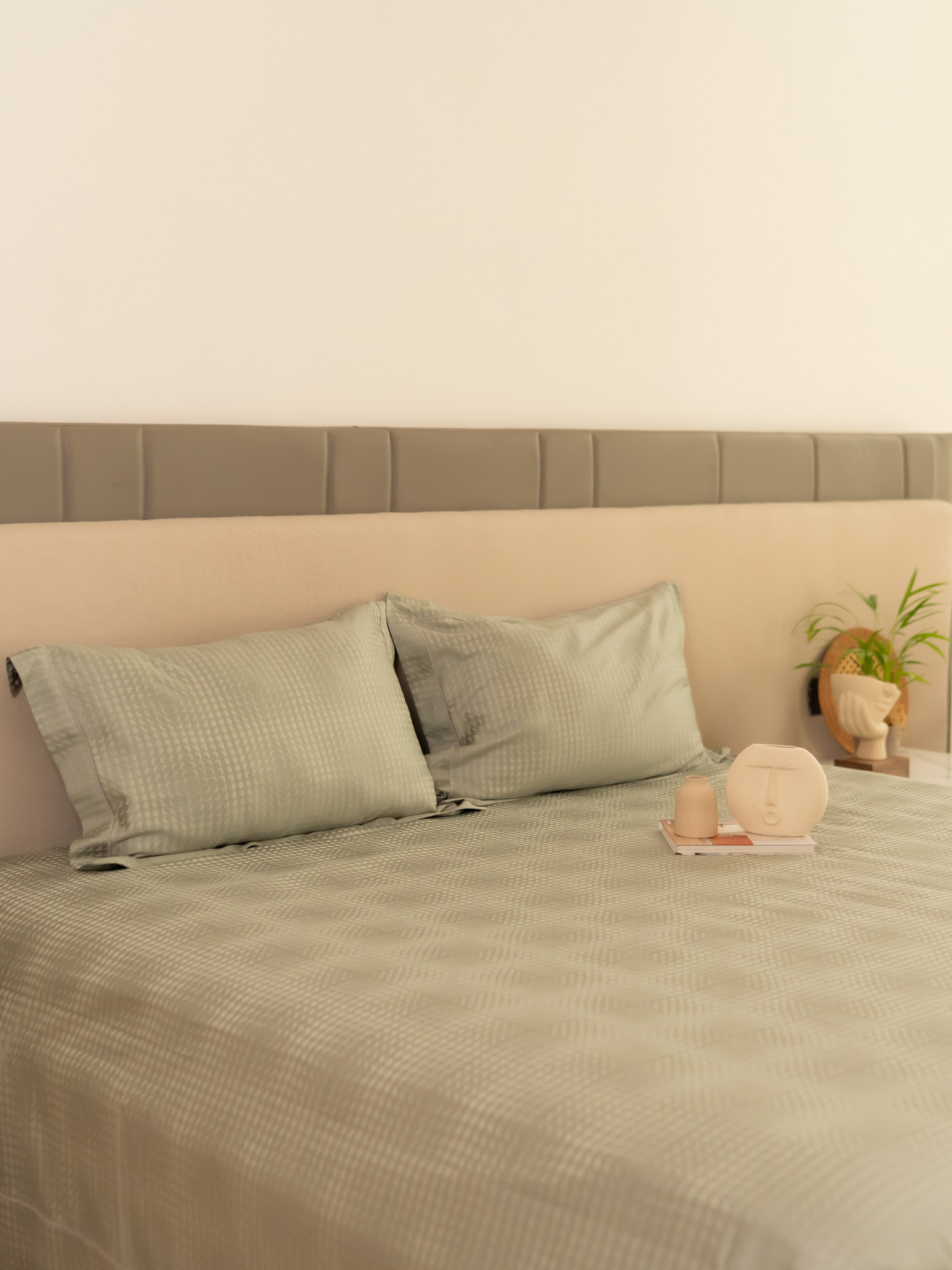 Minted Sage Premium Tencel Jacquard Bedsheet Set with Lace