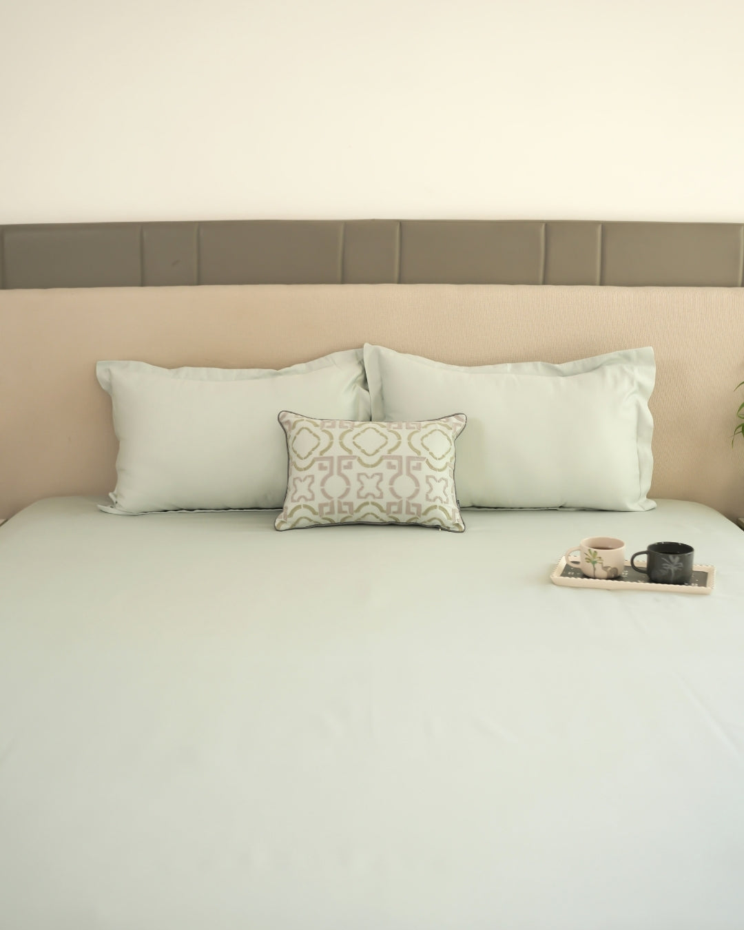 Zyra Sage Green 1000TC Cotton Rich Lorenza Bedsheet Set in Gift Box (5 PC Set)